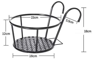 Iron Metal Hanging Plant Basket – 2-Pack, Wall-Mounted, Rust-Resistant 🌿🪴