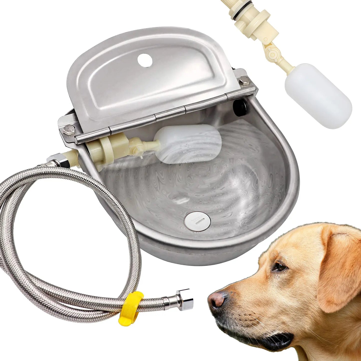 Automatic 304 Stainless Steel Dog Water Bowl – Hose-Connected, Float Valve 🐕💧