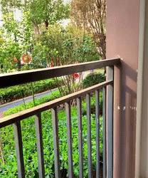 Iron Metal Hanging Plant Basket – 2-Pack, Wall-Mounted, Rust-Resistant 🌿🪴
