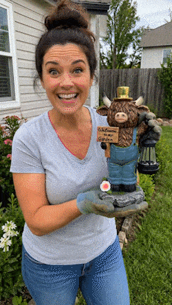 Highland Cow Garden Lantern Statue – Solar Glow, Farmhouse Charm, Welcome Sign 🐮🧡