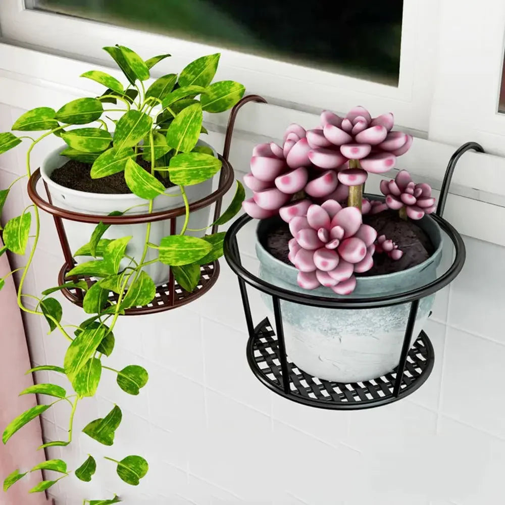 Iron Metal Hanging Plant Basket – 2-Pack, Wall-Mounted, Rust-Resistant 🌿🪴