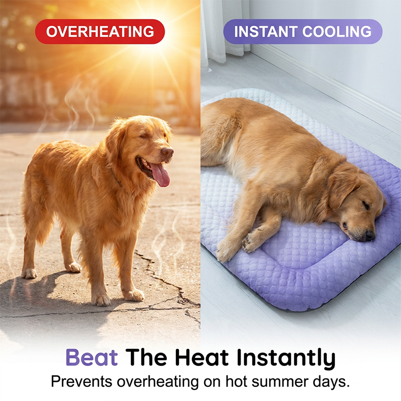 Cooling Gel Mat for Pets – Instant Heat Relief, No Refrigeration Needed 🐶🧊