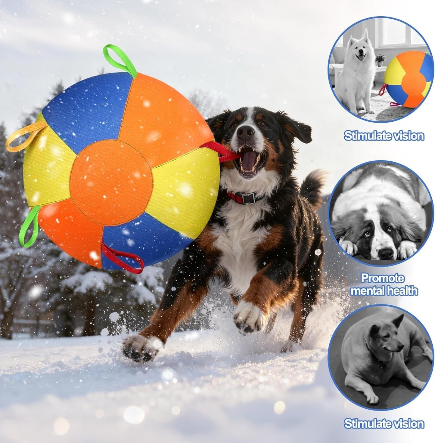Dog Fetch Ball with Rope – High-Contrast Colors, Heavy-Duty Canvas 🐕🎾