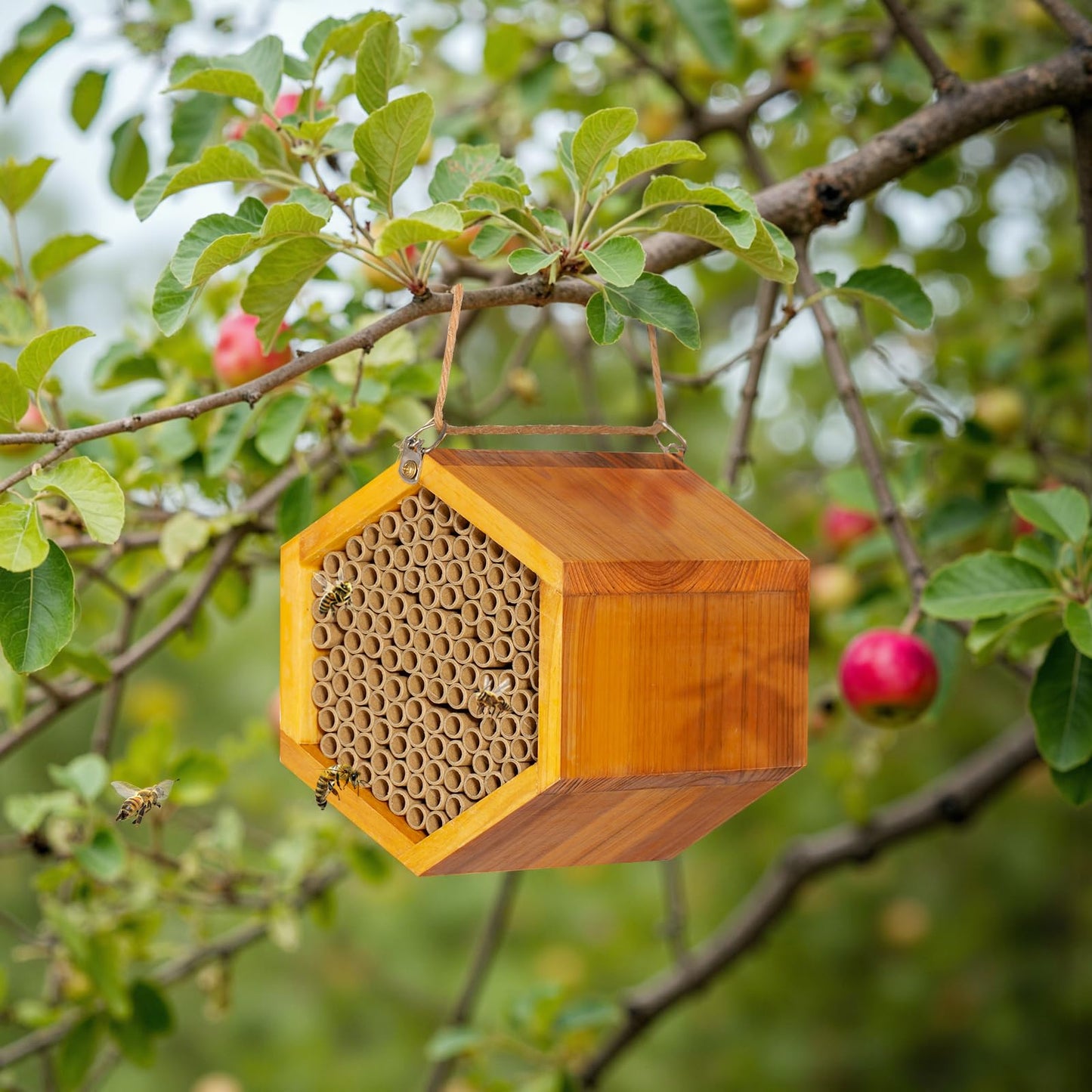Mason Bee House – Wax-Coated, Ready-to-Use, Attracts Peaceful Pollinators for a Thriving Garden 🐝🌼🏡