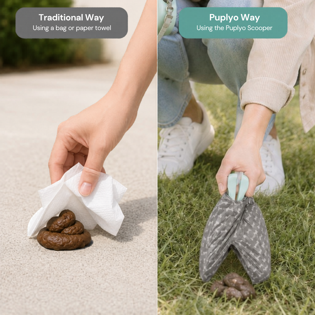 Clip-On Poop Scooper – Foldable, Pocket-Sized, Bag Dispenser Included 🐾🧹