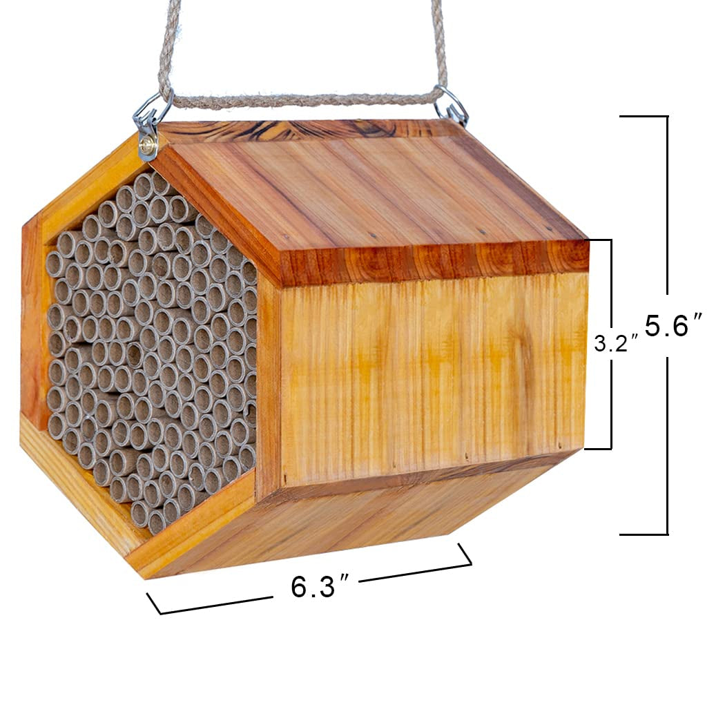 Mason Bee House – Wax-Coated, Ready-to-Use, Attracts Peaceful Pollinators for a Thriving Garden 🐝🌼🏡
