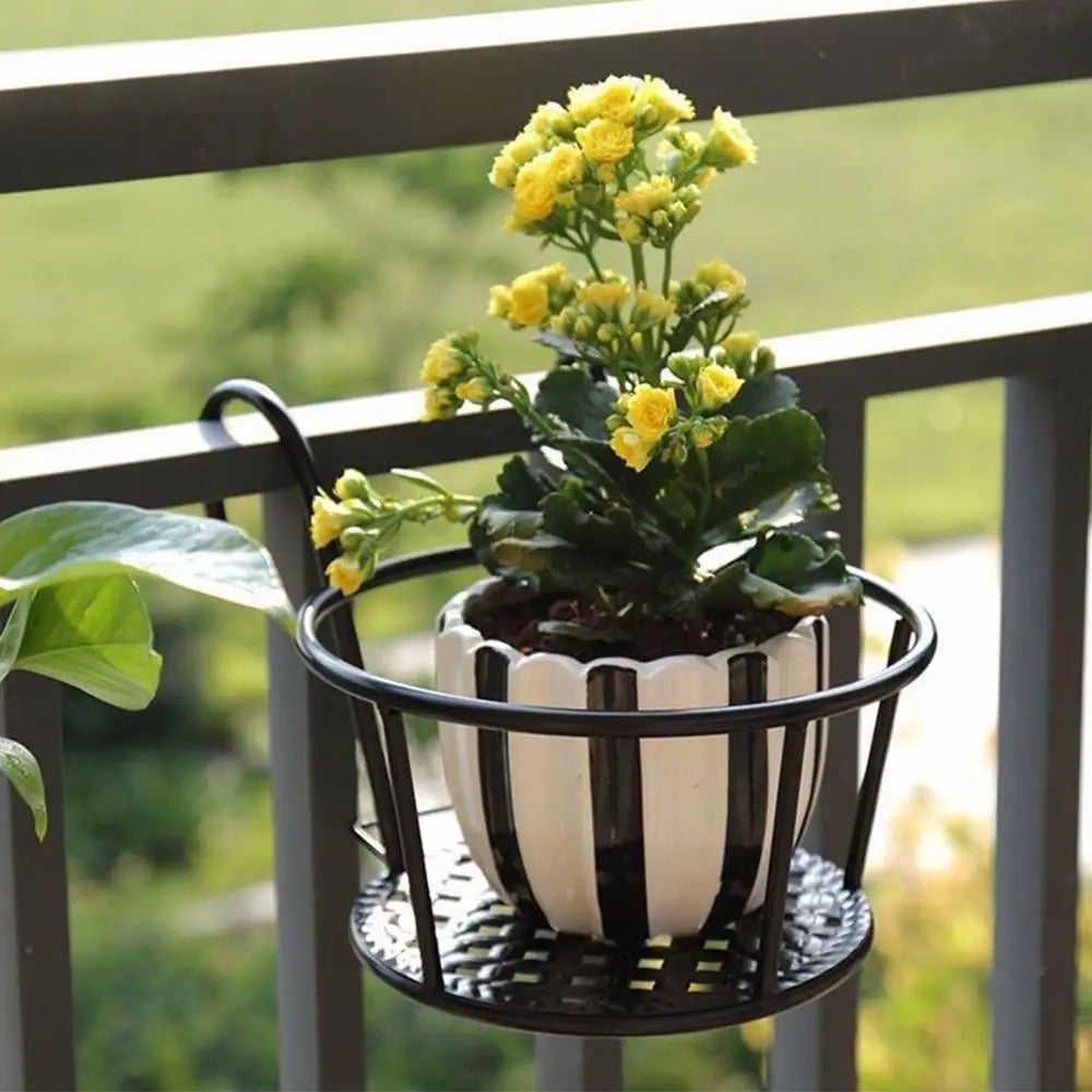 Iron Metal Hanging Plant Basket – 2-Pack, Wall-Mounted, Rust-Resistant 🌿🪴