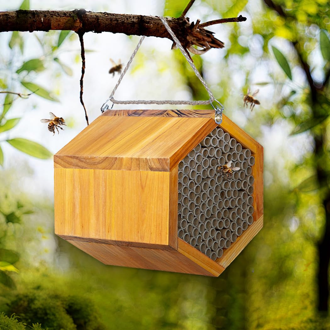 Mason Bee House – Wax-Coated, Ready-to-Use, Attracts Peaceful Pollinators for a Thriving Garden 🐝🌼🏡