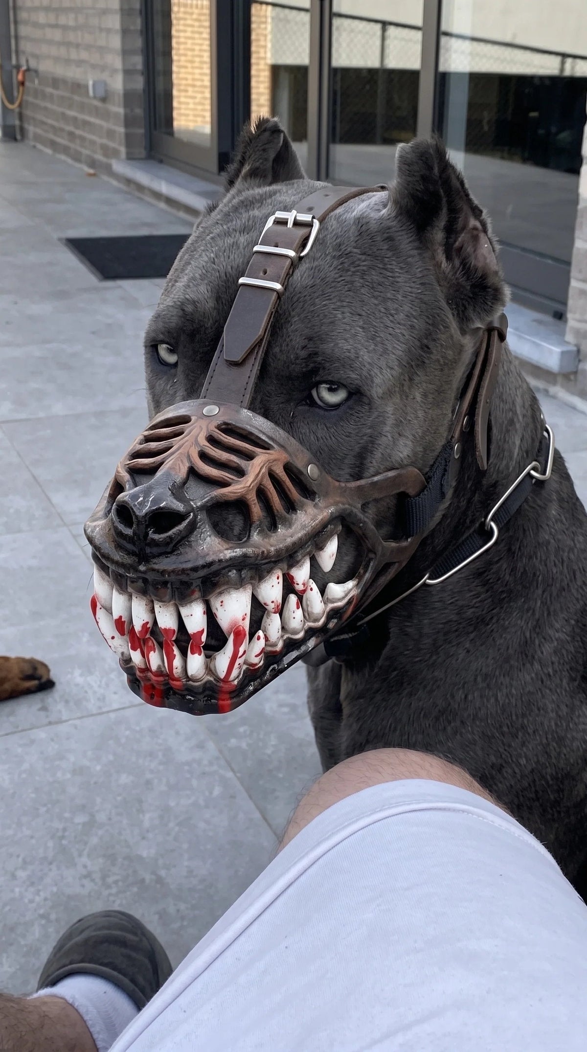 Hell Hound Monster Dog Muzzle For Halloween Cosplay