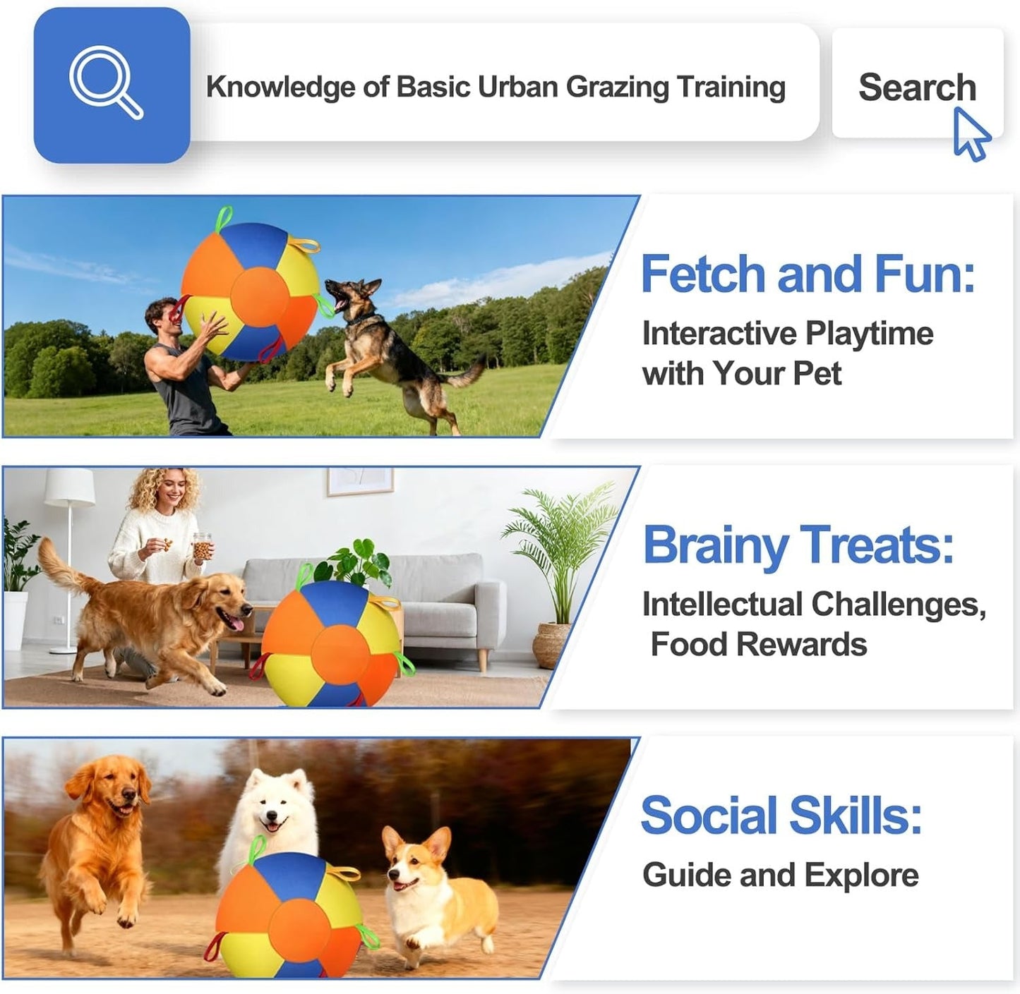 Dog Fetch Ball with Rope – High-Contrast Colors, Heavy-Duty Canvas 🐕🎾
