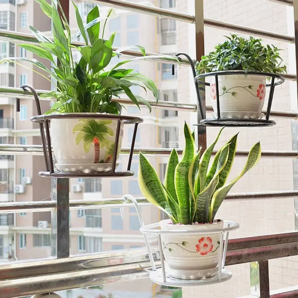 Iron Metal Hanging Plant Basket – 2-Pack, Wall-Mounted, Rust-Resistant 🌿🪴