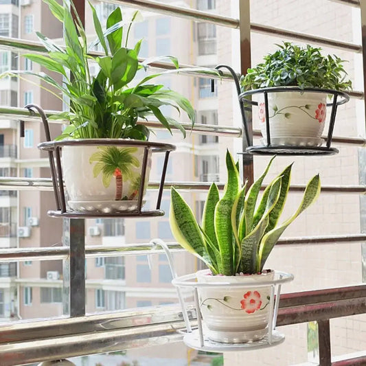 Iron Metal Hanging Plant Basket – 2-Pack, Wall-Mounted, Rust-Resistant 🌿🪴