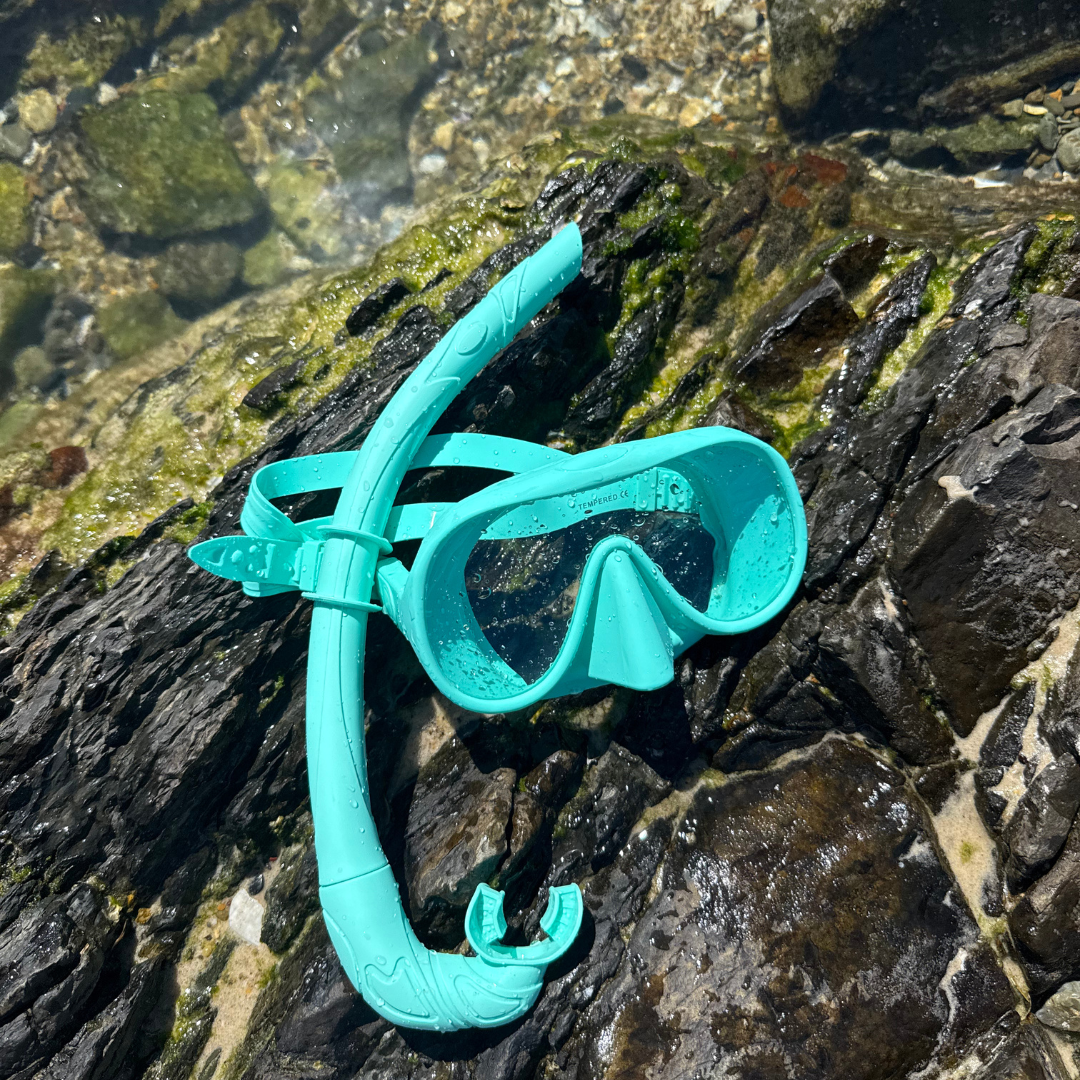 Snorkel Set – Anti-Fog, 180° View, 15 Colors 🥽🌊