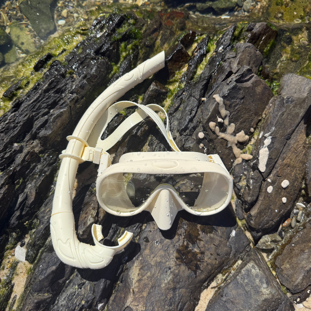 Snorkel Set – Anti-Fog, 180° View, 15 Colors 🥽🌊