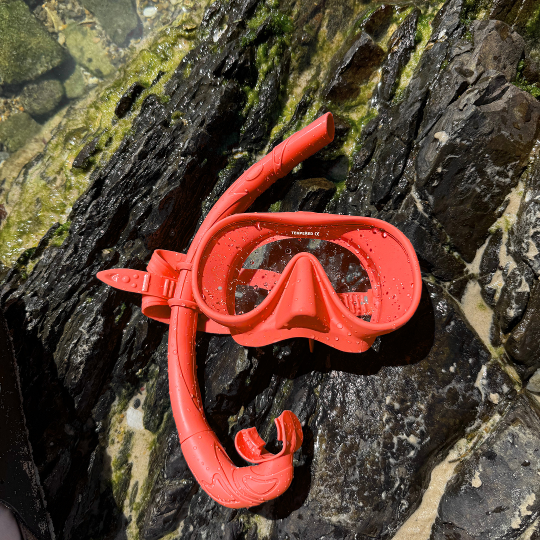 Snorkel Set – Anti-Fog, 180° View, 15 Colors 🥽🌊