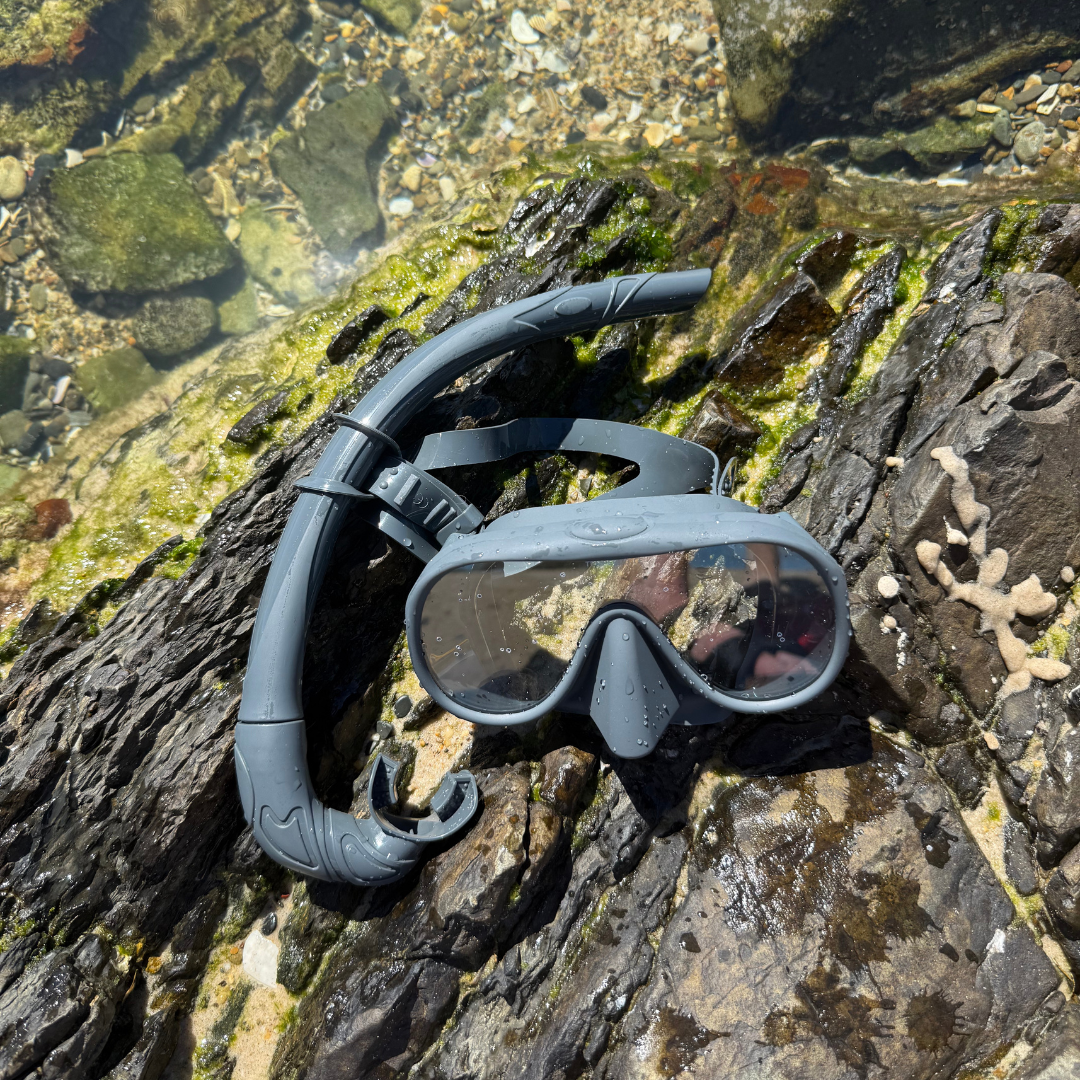 Snorkel Set – Anti-Fog, 180° View, 15 Colors 🥽🌊