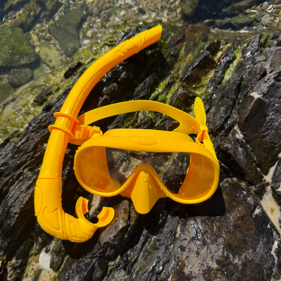 Snorkel Set – Anti-Fog, 180° View, 15 Colors 🥽🌊