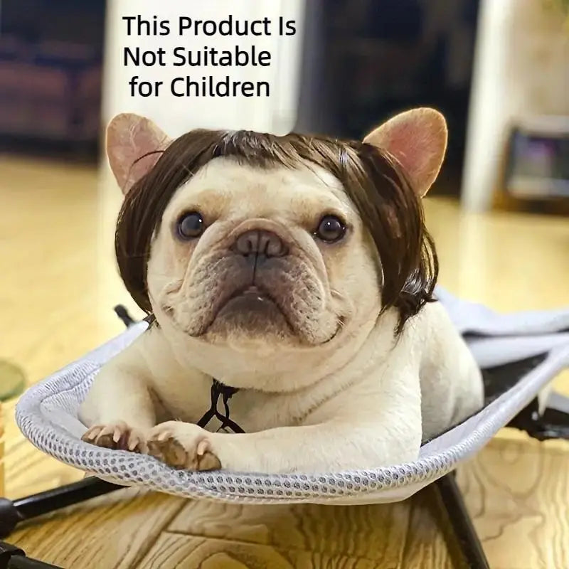 Cute Short Hair Wig Pet Headband – Funny Accessory for Dogs &Cats 🐶🐱🎀