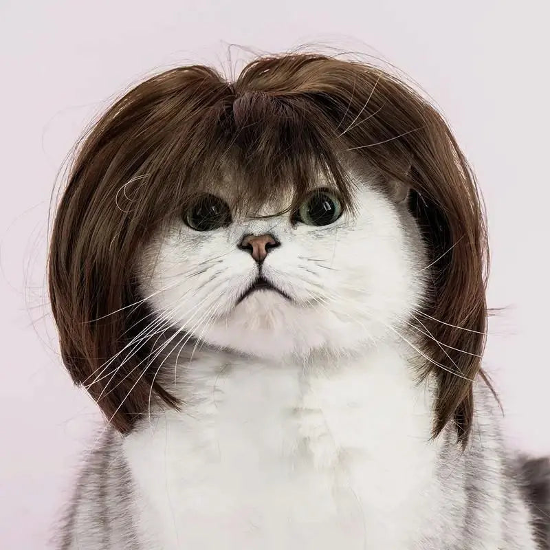 Cute Short Hair Wig Pet Headband – Funny Accessory for Dogs &Cats 🐶🐱🎀