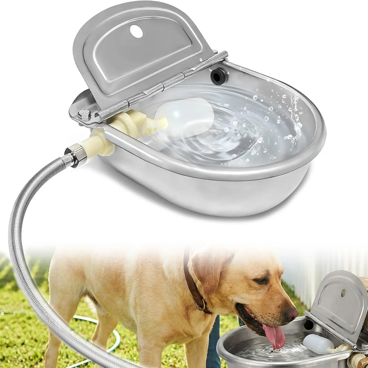 Automatic 304 Stainless Steel Dog Water Bowl – Hose-Connected, Float Valve 🐕💧