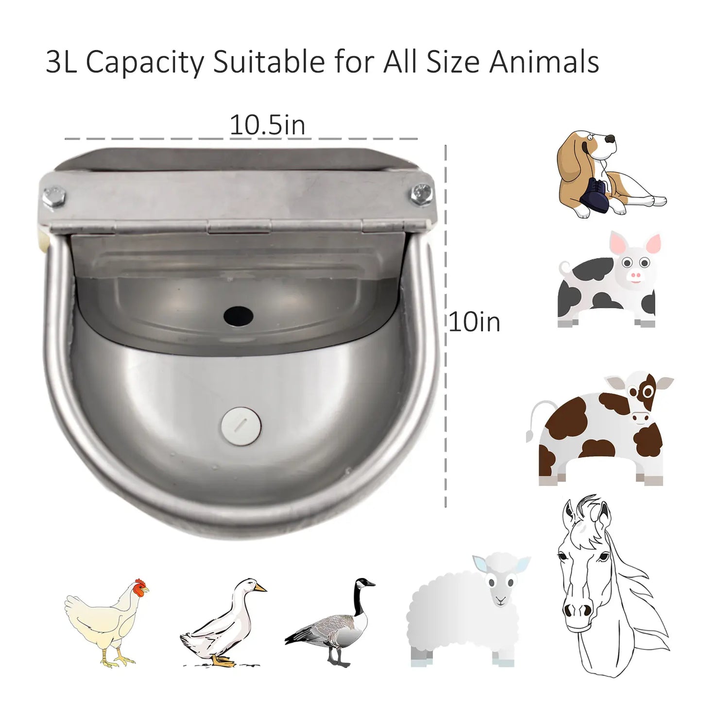 Automatic 304 Stainless Steel Dog Water Bowl – Hose-Connected, Float Valve 🐕💧