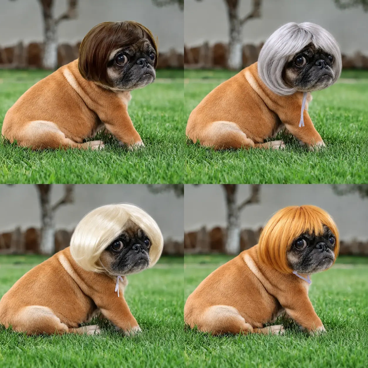 Cute Short Hair Wig Pet Headband – Funny Accessory for Dogs &Cats 🐶🐱🎀