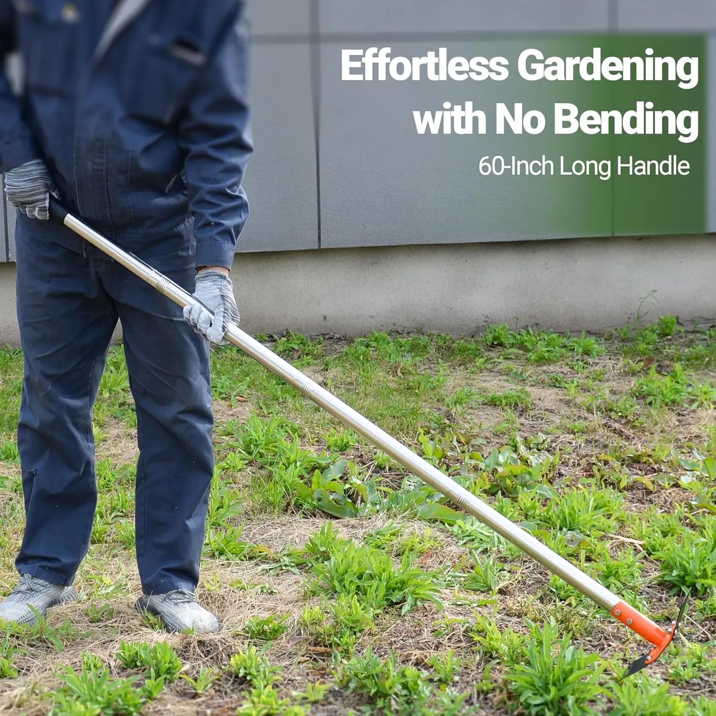 2-in-1 Garden Hoe & Weed Puller Rake – Tempered Spring Steel, Adjustable Handle up to 60″ 🌿🔧