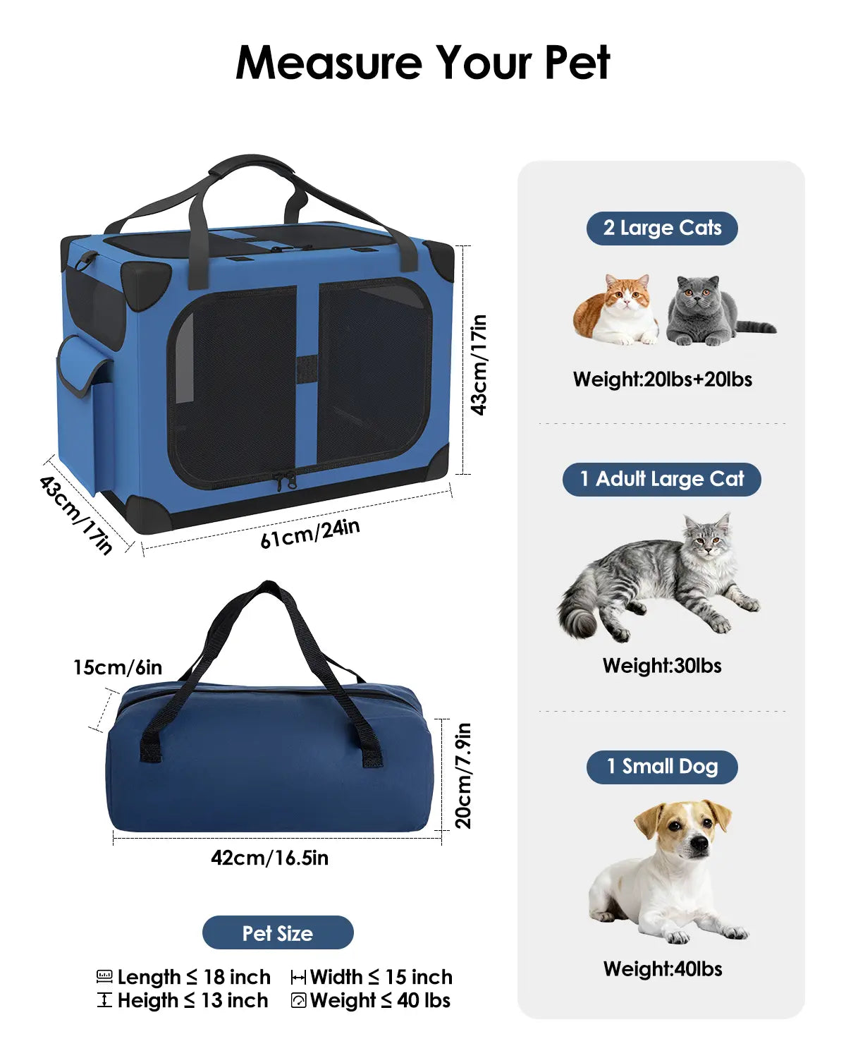 Extra Large Cat Carrier for 2 Cats – XL Soft-Sided, Foldable, with Removable Divider 🐱🚗🧳