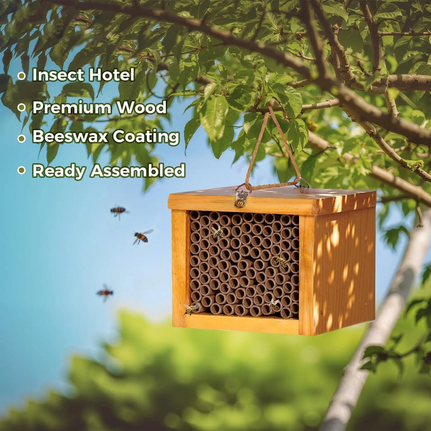 Mason Bee House – Wax-Coated, Ready-to-Use, Attracts Peaceful Pollinators for a Thriving Garden 🐝🌼🏡
