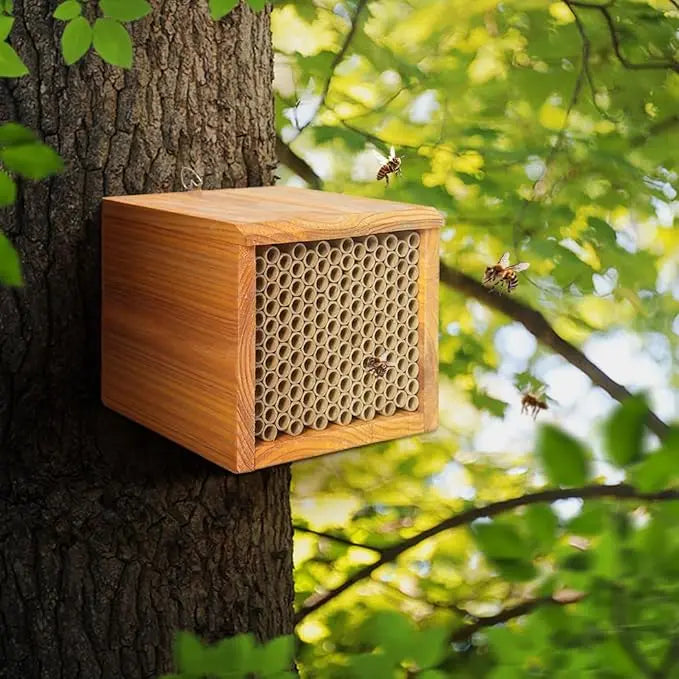 Mason Bee House – Wax-Coated, Ready-to-Use, Attracts Peaceful Pollinators for a Thriving Garden 🐝🌼🏡