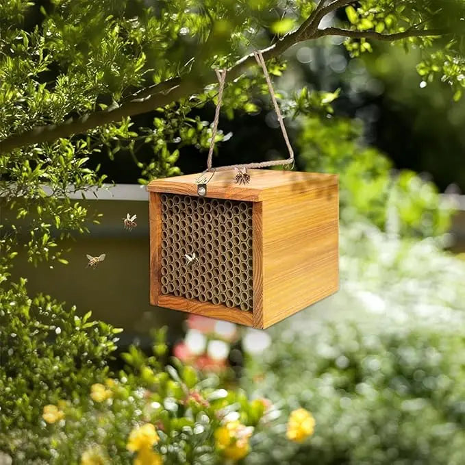 Mason Bee House – Wax-Coated, Ready-to-Use, Attracts Peaceful Pollinators for a Thriving Garden 🐝🌼🏡