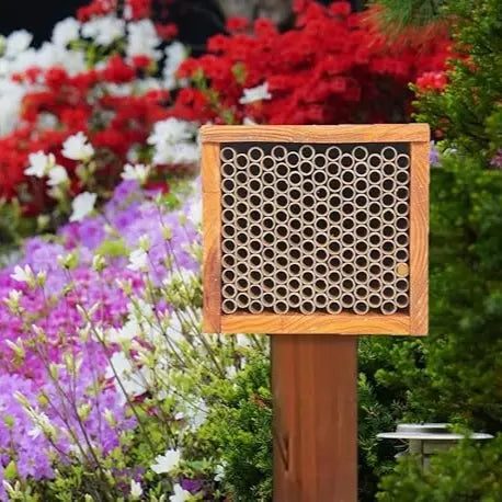 Mason Bee House – Wax-Coated, Ready-to-Use, Attracts Peaceful Pollinators for a Thriving Garden 🐝🌼🏡
