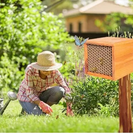 Mason Bee House – Wax-Coated, Ready-to-Use, Attracts Peaceful Pollinators for a Thriving Garden 🐝🌼🏡