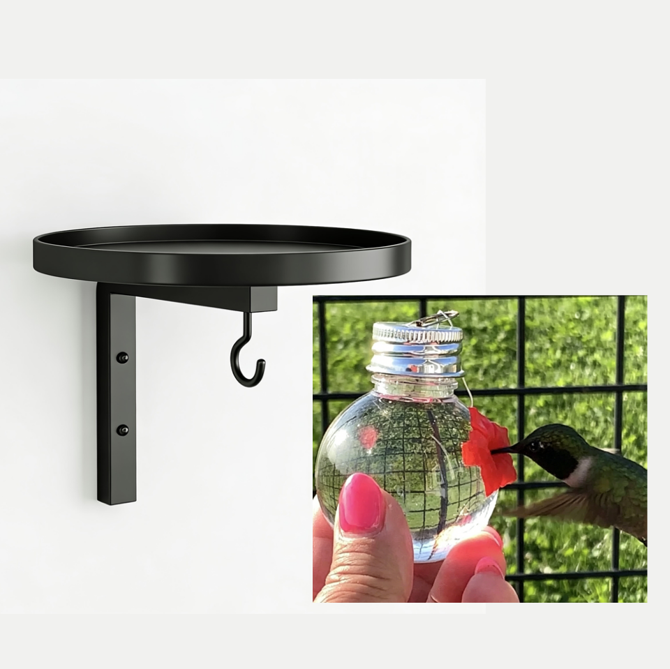 Wall-Mounted Metal Bird Bath – Antique Black, Dual-Function with Hook 🐦🛁