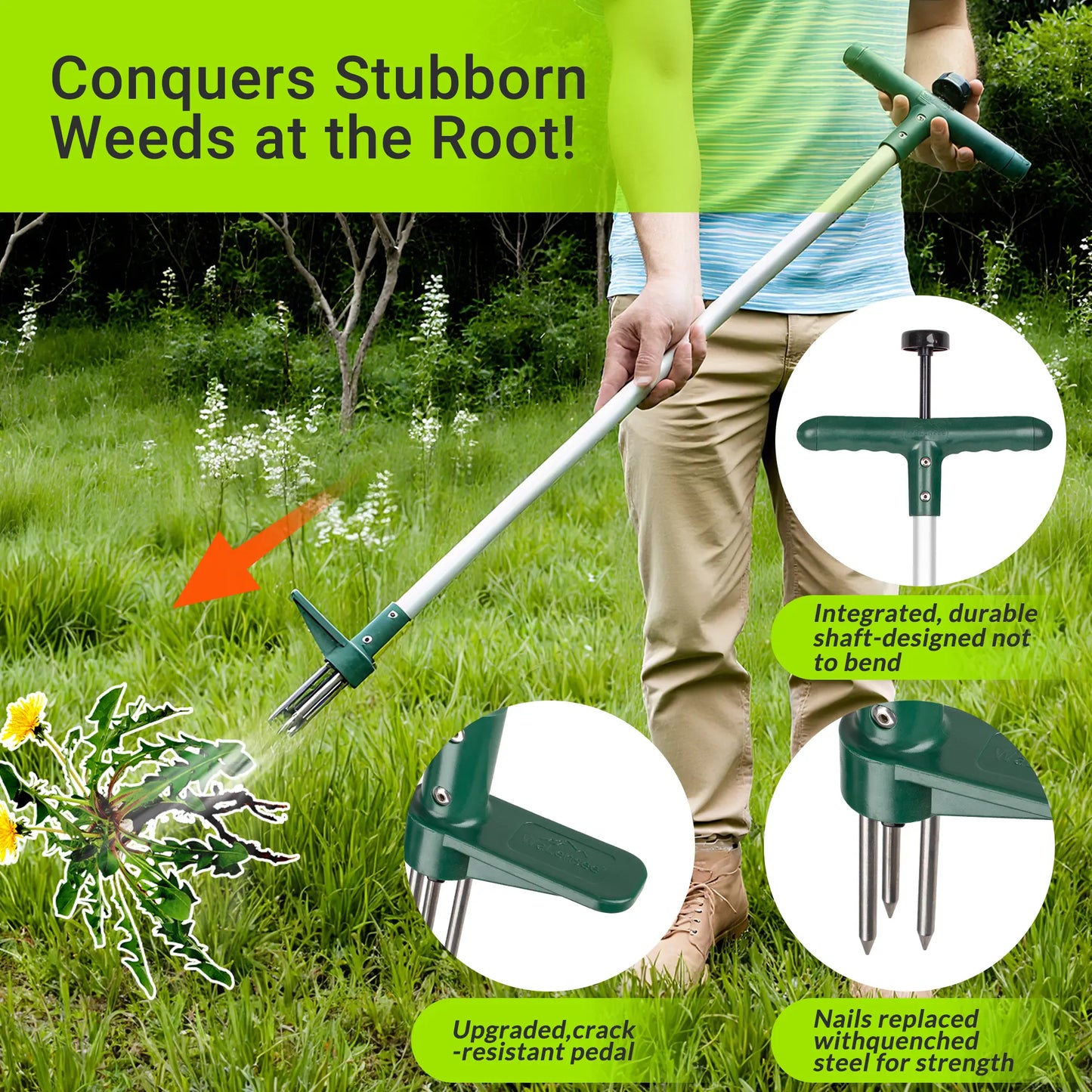 Walensee Garden Stand-Up Weeder Tool – 39" Long Handle, 3-Claw Stainless Steel Head 🌱🛠️