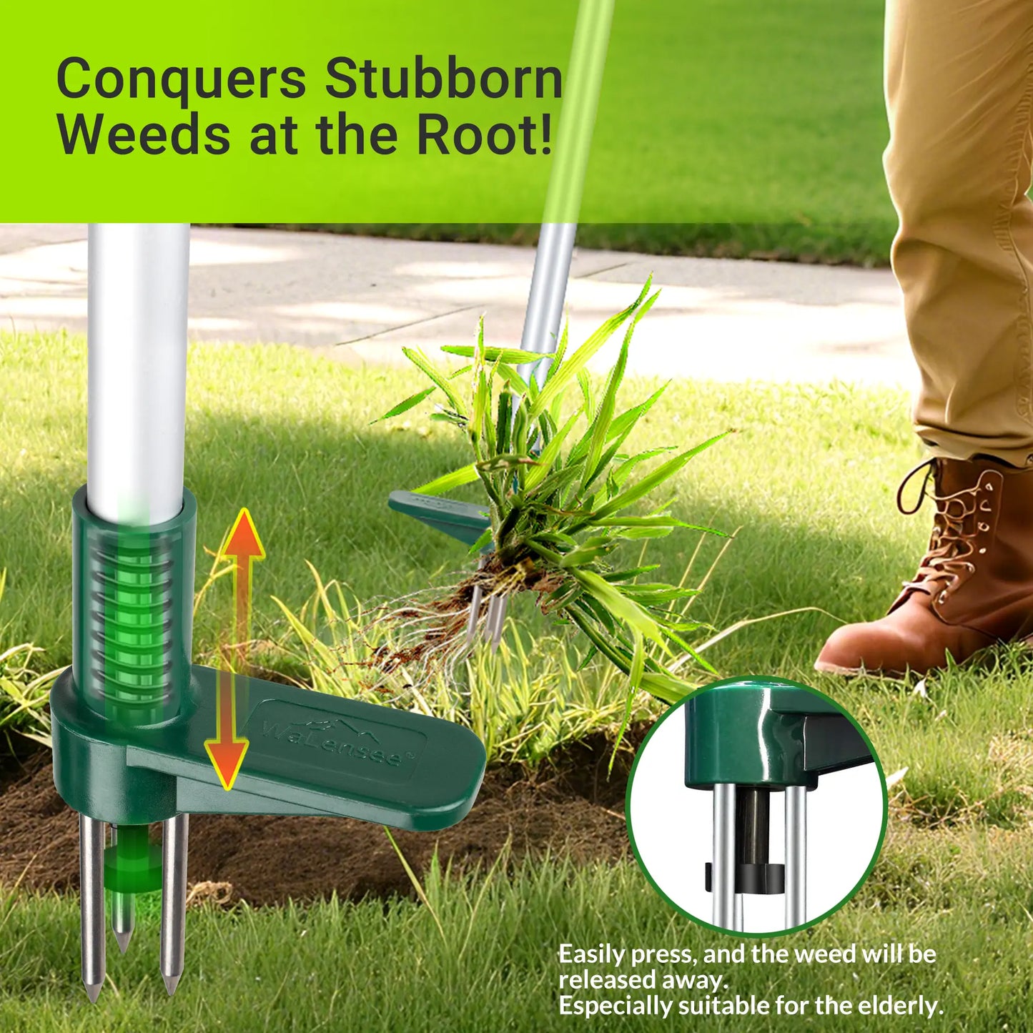 Walensee Garden Stand-Up Weeder Tool – 39" Long Handle, 3-Claw Stainless Steel Head 🌱🛠️
