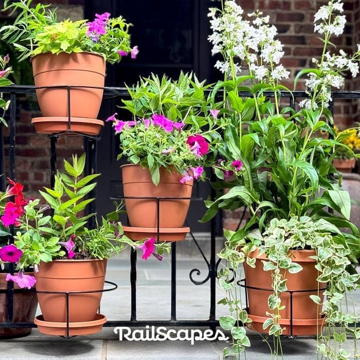 Railing Plant Hook – Adjustable, Tool-Free🪴🔗