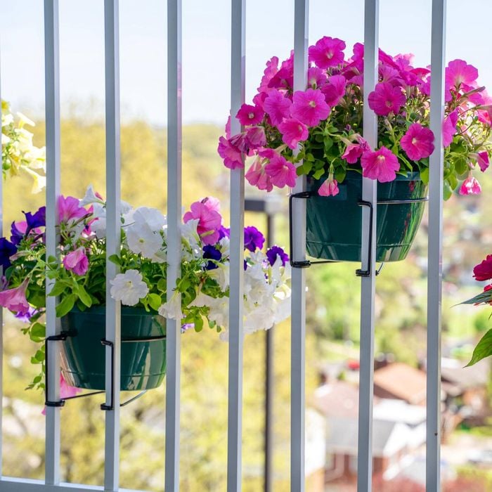 Railing Plant Hook – Adjustable, Tool-Free🪴🔗