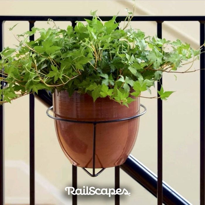 Railing Plant Hook – Adjustable, Tool-Free🪴🔗