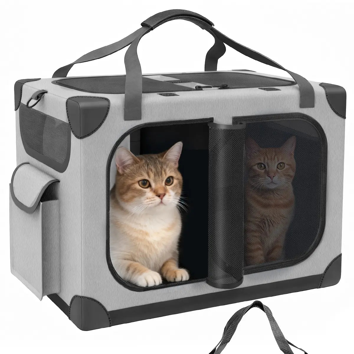 Extra Large Cat Carrier for 2 Cats – XL Soft-Sided, Foldable, with Removable Divider 🐱🚗🧳