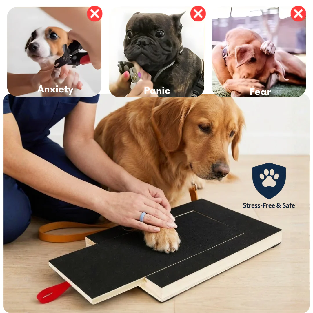 Dog Nail File Board – No Clippers, No Stress, Playtime Trimming 🐾🦴