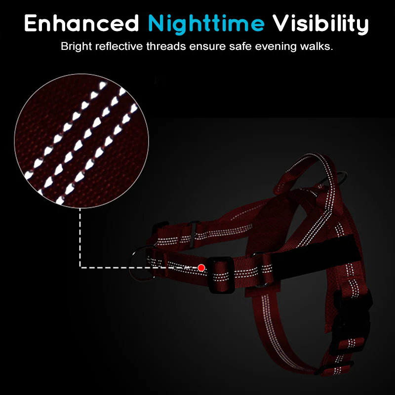 No-Pull Dog Harness – Breathable Mesh, Alloy Rings, Quick-Release Buckle 🦮