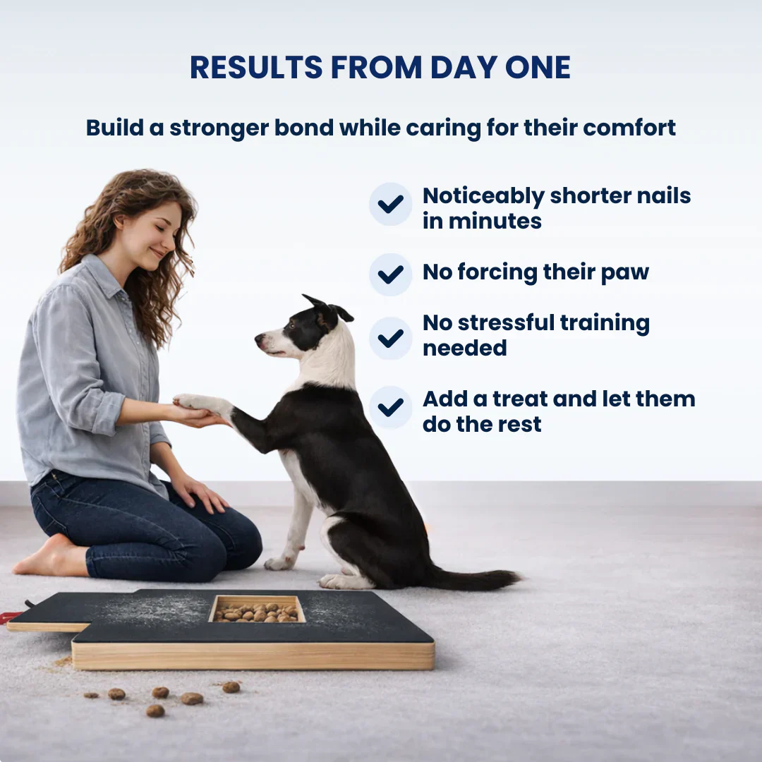 Dog Nail File Board – No Clippers, No Stress, Playtime Trimming 🐾🦴
