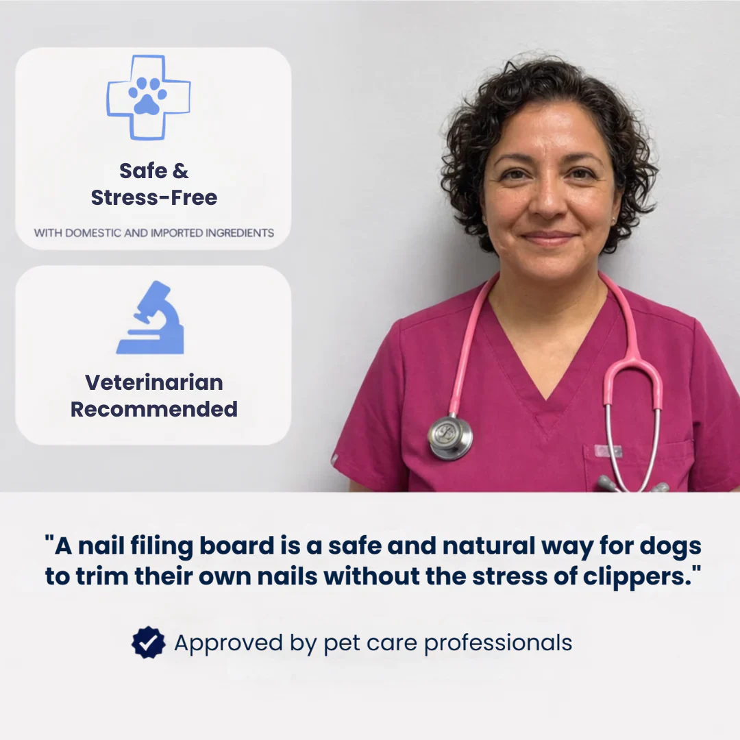 Dog Nail File Board – No Clippers, No Stress, Playtime Trimming 🐾🦴