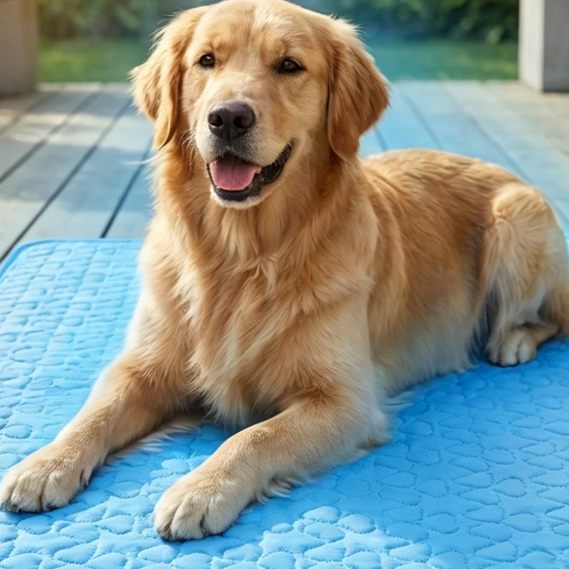 Breathable Pet Cooling Mat – Triple-Layer, Instant Heat Relief 🐶🧊