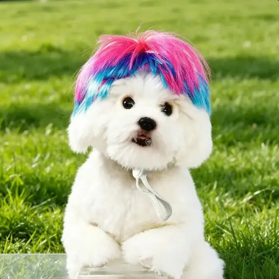Cute Short Hair Wig Pet Headband – Funny Accessory for Dogs &Cats 🐶🐱🎀