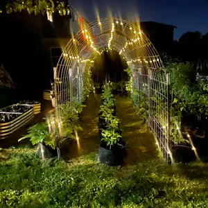Solar Firefly Lights for Outdoor 💡☀️